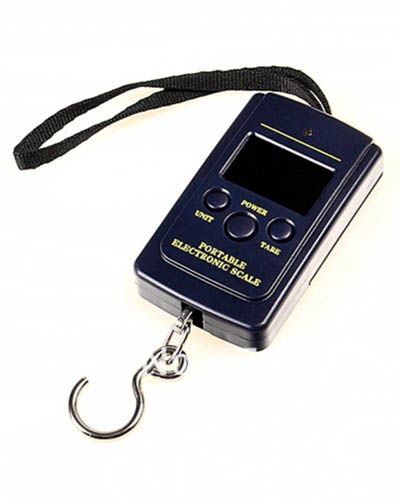 Portable Electronic Balances